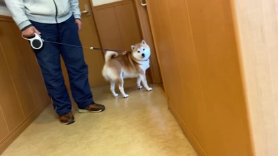 ちょっぴり緊張