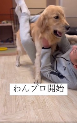 ワンプロするお兄ちゃんとマリンちゃん