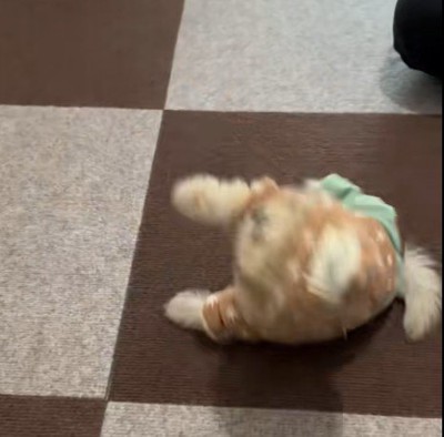 バランスを崩して…