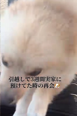 アタックするサニーくん