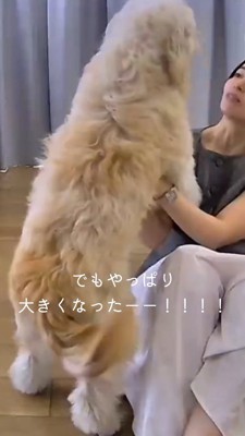 女性に飛びつこうとする子犬