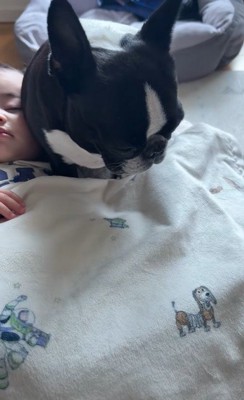 こんぶちゃんと赤ちゃん10