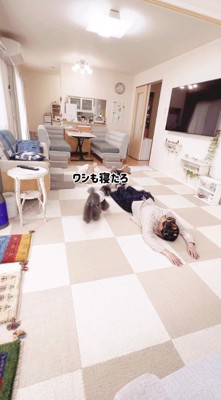 飼い主に近づいて行く黒い犬