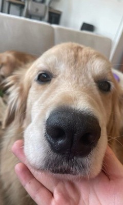 かーる君の成長記録⑩