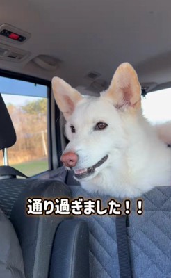 「よかった~!!」