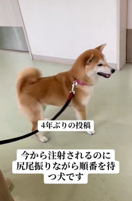 勘違いするみなみちゃん