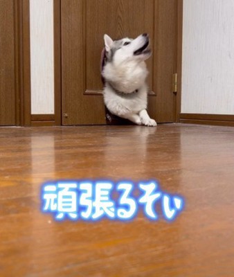 三度目の正直!!