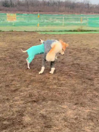 意外と気にしてない！！