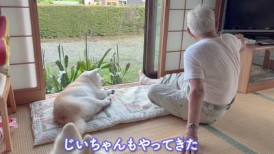 おじいちゃんがやってきた