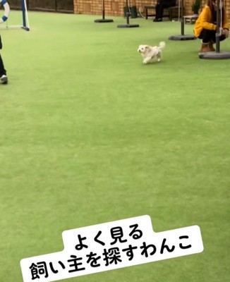 「この人じゃない…」