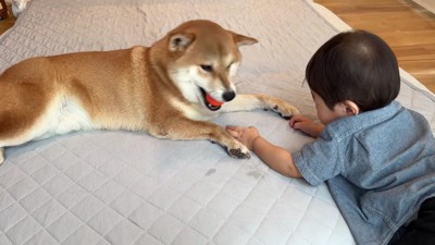 突然の攻防戦！？