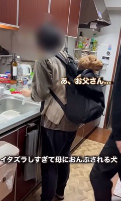 お父さんにスルーされるバッキーくん