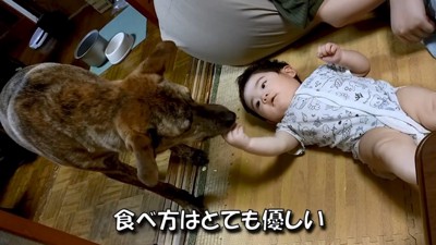 赤ちゃんの手は噛まないりゅうちゃん