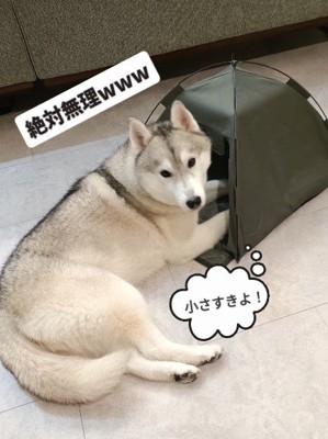 小さすぎた…
