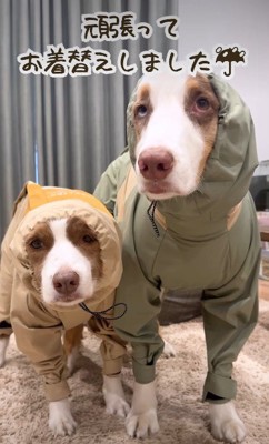 なんとか着用!!