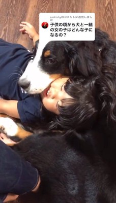 お腹を枕にしてゴロゴロ♪