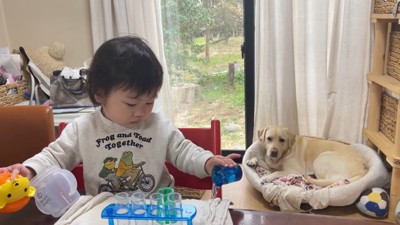 床に水をざばっ!