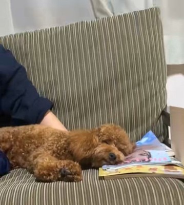 アルくんとの出会い7