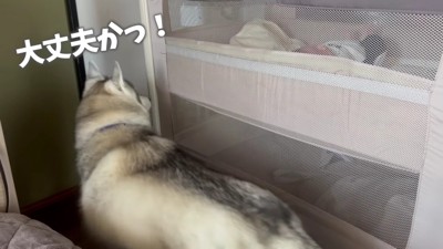 ベビーベッドの警備員に