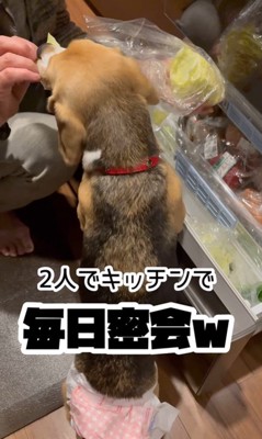 きなこちゃんとお母さん5