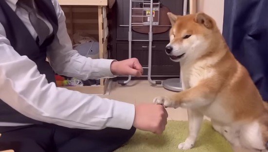 「わらび」を選ぶ!!