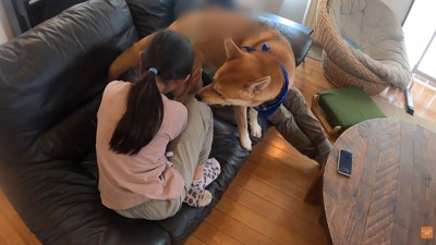 「ケンカはダメ!」
