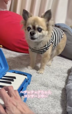 歌い上げました！