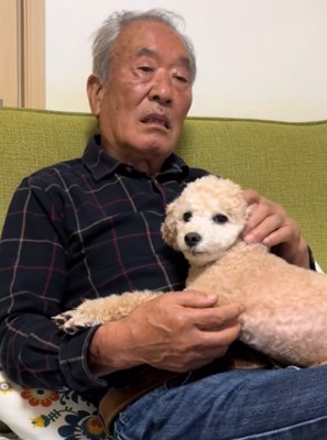 こちらを見る犬