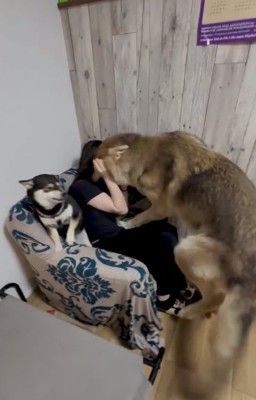 お姉ちゃんに飛び乗るつなくん