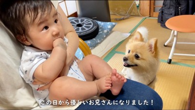 家族に抱かれている赤ちゃんを見つめる犬