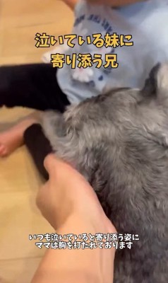 女の子に寄り添うこたろう君7