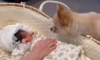 顔を近づけてご挨拶