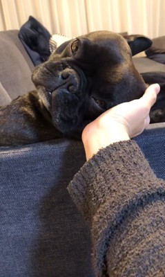 ちこ丸くんとの思い出3