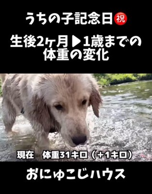 麹くんの成長⑩