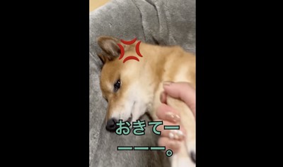 掴まれた