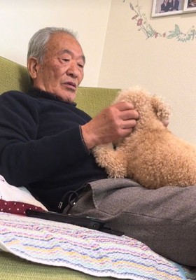 トイプードルを観察する男性