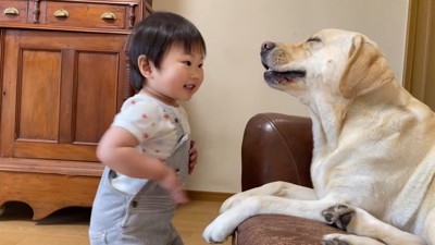 再びくしゃみを連発!