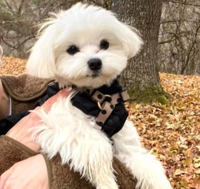 凛々しい表情も