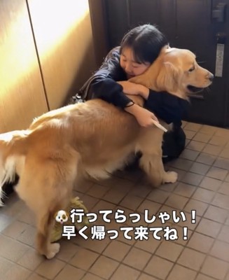 女の子に抱きしめられる犬