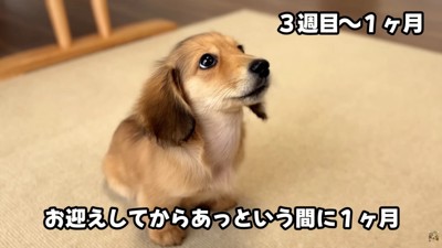 これからもすくすく育ってね