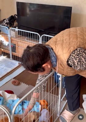 ロイくんを撫でる