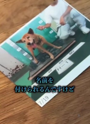 こんなにボロボロだったのに…