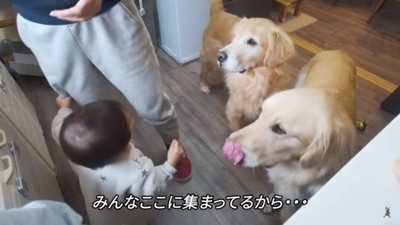 キッチンに集まった3兄弟