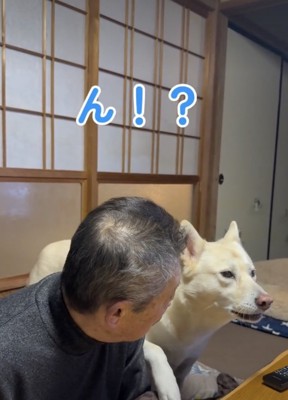 おじいちゃんが耳を傾けると…