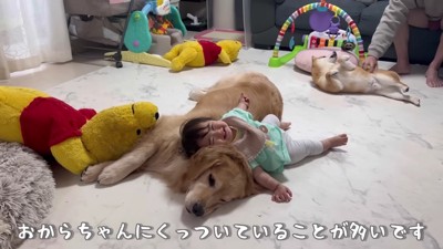 気が付くとぺったりくっついている