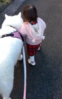 散歩する大型犬と女の子