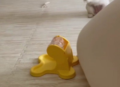 知育おもちゃを手に入れた