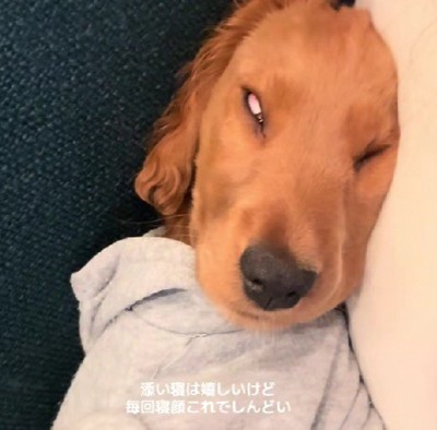 目も縦に伸ばされた！？