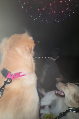 花火を見に行ったり…