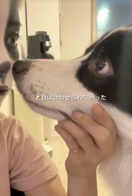 サッと目をそらすサンゴさん
